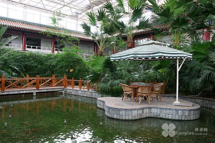 复养老院北京市朝阳区长友恒苑养老院｜服务+高性价比CQ9电子游戏平台2026最新北京病后康复专业康(图21)